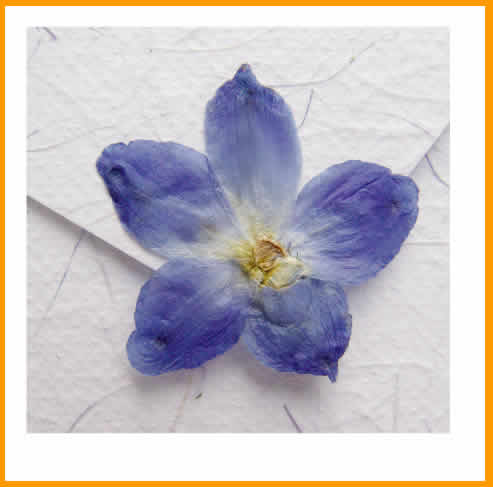 invitaciones de boda