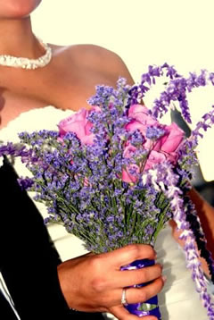 organizadores de bodas o wedding planer
